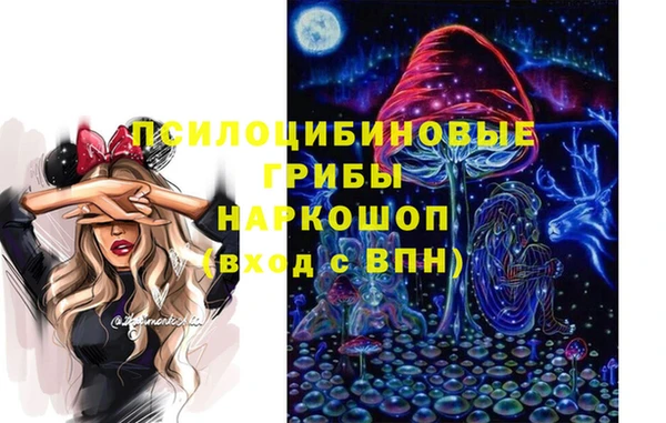 гидра Армянск