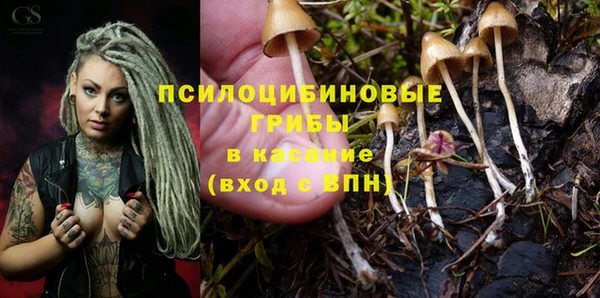 мдпв Зеленокумск