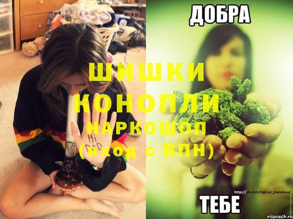 гидра Армянск