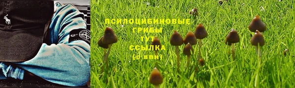 прущие крисы Алексин