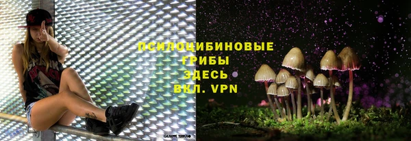 герыч Алзамай