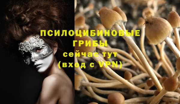 герыч Арсеньев